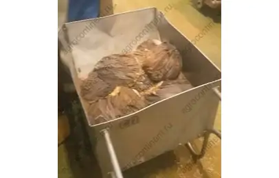 Готовим рубец к мойке