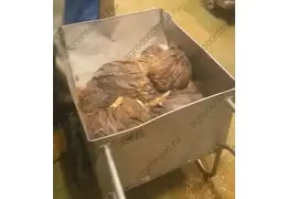 Готовим рубец к мойке