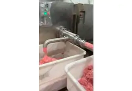 Пресс механической обвалки PSG 4000