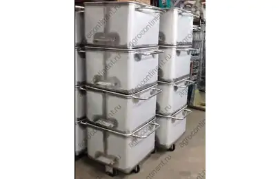 Китаянки в наличии