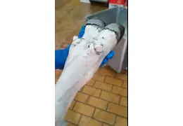Очищаем ноги КРС