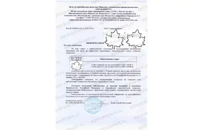 Документы на СДП
