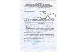 Документы на СДП